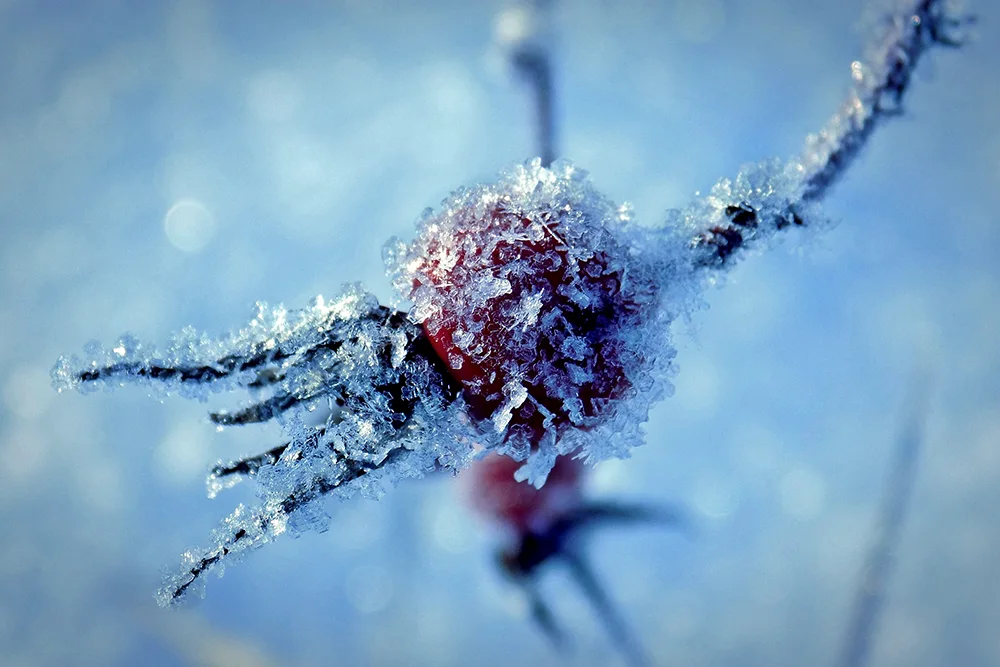 Stay Warm, Stay Worry-Free 1 stay warm